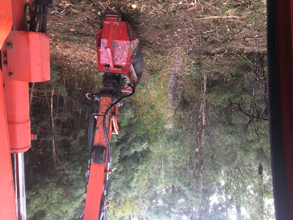 fire trail clearing at Hawkesbury Nsw