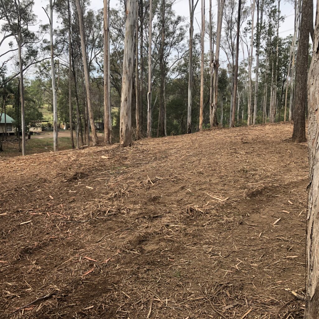 land clearing Windsor NSw